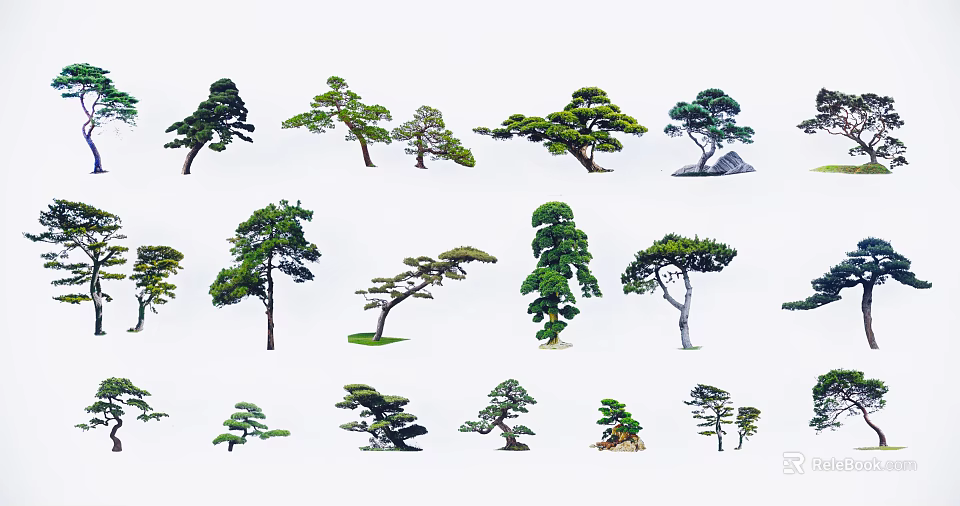 Diverse Shaped Arbor Trees With Green Foliage And Natural Growth Forms 3d model 