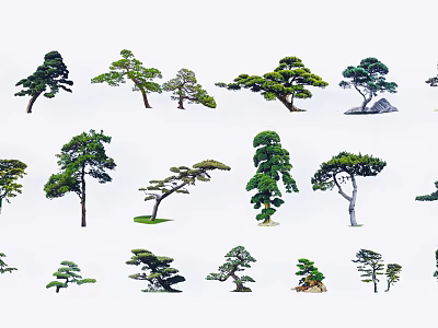 Diverse Shaped Arbor Trees With Green Foliage And Natural Growth Forms 3d model