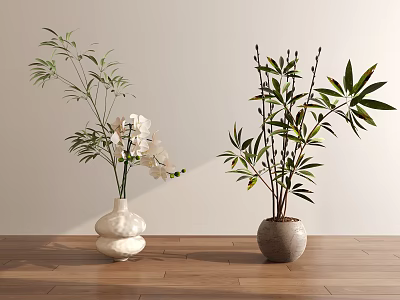 Decorative Indoor Potted Plants With White Flowers And Green Leaves In Vases On Wooden Floor 3d model