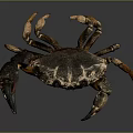 Realistic Rusty Brown Crab With Large Claws And Textured Shell On Gray Surface