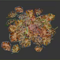 Beautiful Colorful Autumn Leaves in Various Hues Scattered on Blue Background