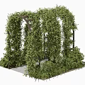 Garden Archway Covered With Lush Green Vines And Wooden Frame For Outdoor Decoration