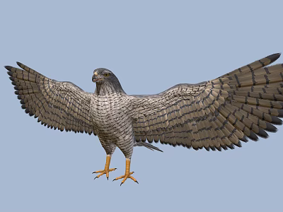Eagle With Spread Wings And Yellow Talons Soaring Through Blue Sky 3d model