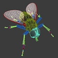 Modern other insect flies 3d model