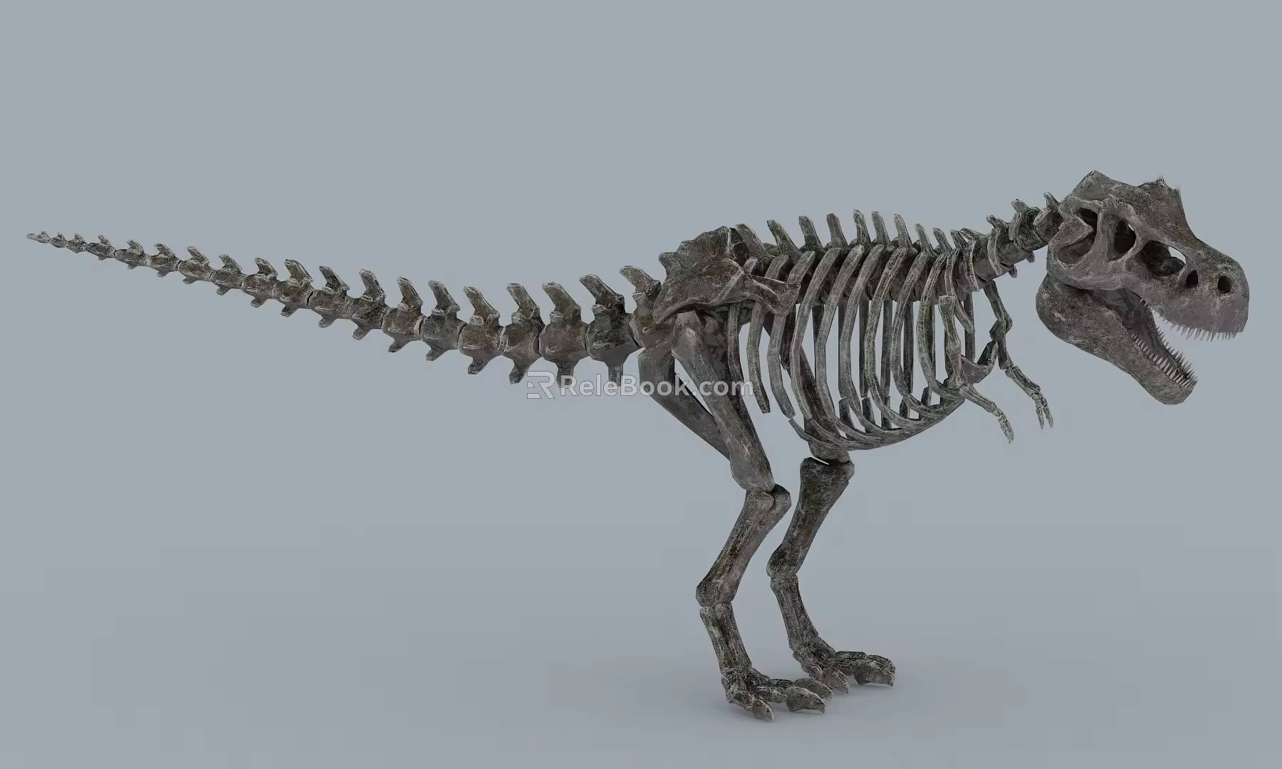 Modern Fossil Dinosaur Fossil 3d model