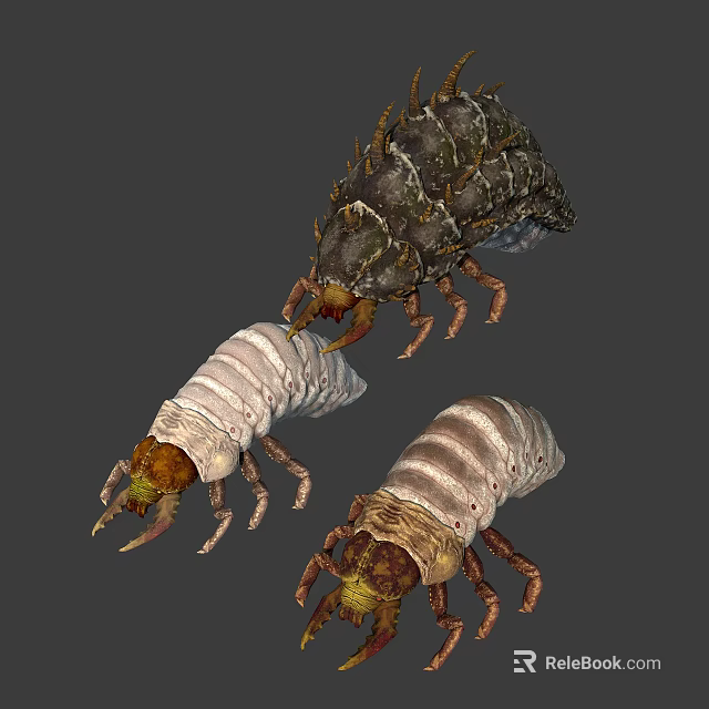 Detailed View Of Three Insect Larvae With Segmented Bodies And Brown White Color 3d model 