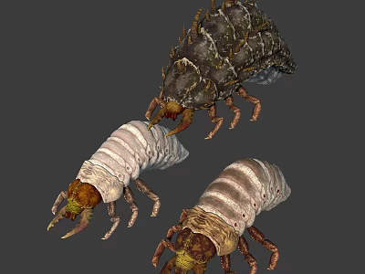 Detailed View Of Three Insect Larvae With Segmented Bodies And Brown White Color 3d model
