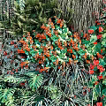 Living Plant Wall with Colorful Red Purple Flowers and Various Green Foliage
