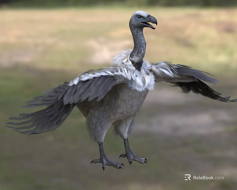 Wild Vulture Spreading Wings In Flight Over Green Grassland Area 3d model 