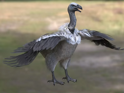 Wild Vulture Spreading Wings In Flight Over Green Grassland Area 3d model