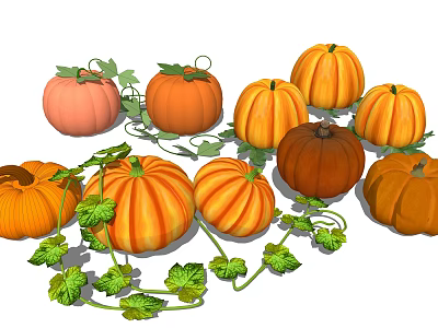Fresh Colorful Pumpkins With Green Vines And Leaves As Healthy Vegetables 3d model