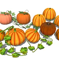 Fresh Colorful Pumpkins With Green Vines And Leaves As Healthy Vegetables