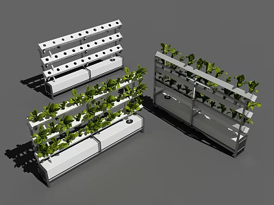 Modern Vertical Agricultural Equipment with Multi Layer Shelves Growing Green Plants 3d model