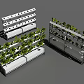 Modern Vertical Agricultural Equipment with Multi Layer Shelves Growing Green Plants