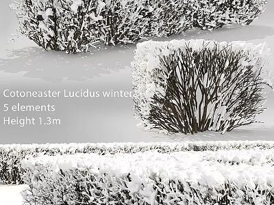 Cotoneaster Lucidus Winter Decorative Ornament Set With 5 Elements 1.3m Height 3d model