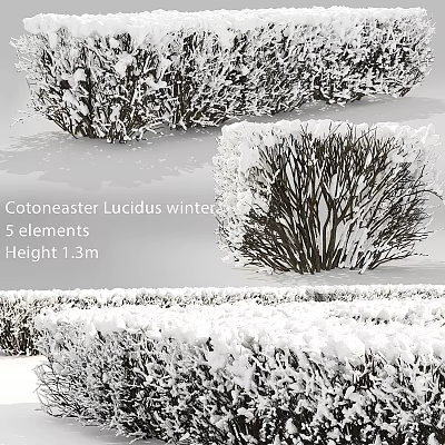 Cotoneaster Lucidus Winter Decorative Ornament Set With 5 Elements 1.3m Height 3d model
