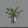 Potted Fern Plant With Fresh Green Fronds In Gray Pot And Shadow On Light Background