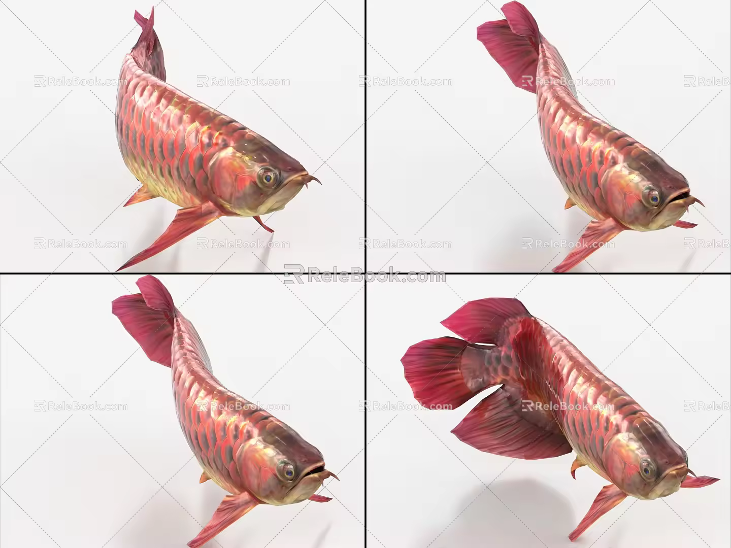 Dragon fish with binding and animation goldfish koi carp 3d model