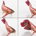 Dragon fish with binding and animation goldfish koi carp 3d model