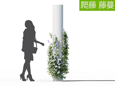 Climbing Vines With Purple Flowers Growing On Decorative Column Near Female Silhouette 3d model
