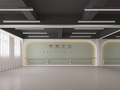 Spacious Dance Studio For Fitness With Barre And Curtains 3d model