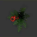 Red Poppy Flowers With Two Blooms Green Leaves And Stems On Gray Background