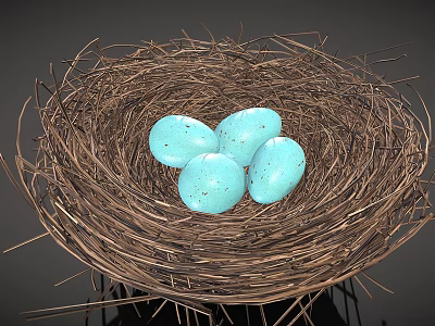 Natural Twig Nest With Four Blue Speckled Eggs On Dark Surface 3d model