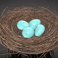 Natural Twig Nest With Four Blue Speckled Eggs On Dark Surface