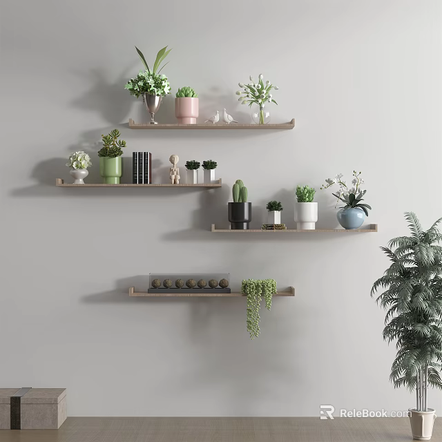 Stylish Wall Shelves Displaying Bonsai and Potted Plants with Various Planters and Decorative Items 3d model 
