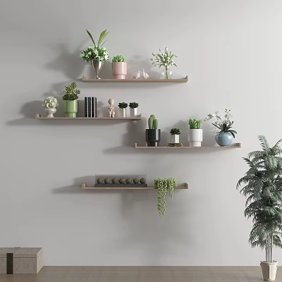 Stylish Wall Shelves Displaying Bonsai and Potted Plants with Various Planters and Decorative Items 3d model