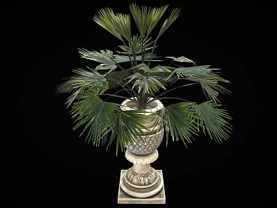 Lush Green Palm Plant In Decorative Ornate Planter With Square Base 3d model