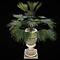 Lush Green Palm Plant In Decorative Ornate Planter With Square Base