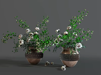 Elegant Bonsai Potted Plants With White Flowers In Clay Pots And Fallen Petals 3d model