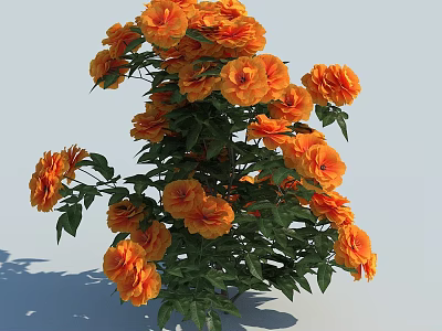 Blooming Vibrant Orange Flowers With Lush Green Leaves And Fresh Petals 3d model