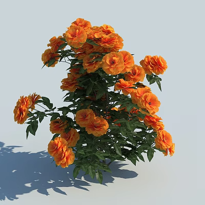 Blooming Vibrant Orange Flowers With Lush Green Leaves And Fresh Petals 3d model