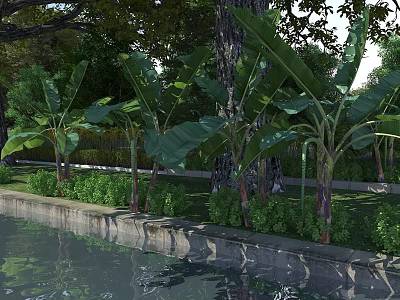 Arbor Trees Along Waterfront With Banana Plants Grass And Bushes In Natural Landscape 3d model