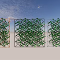 Outdoor Garden Trellis Decor With Green Leafy Vines And Different Frames