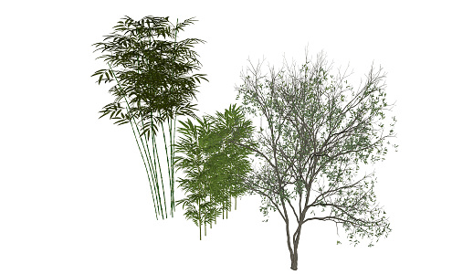 The Modern Tree 3d model