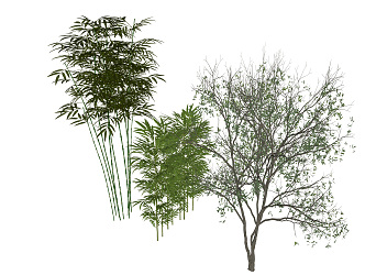 The Modern Tree 3d model