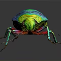 Vibrant Colored Flying Insect With Shiny Iridescent Body On Dark Reflective Background