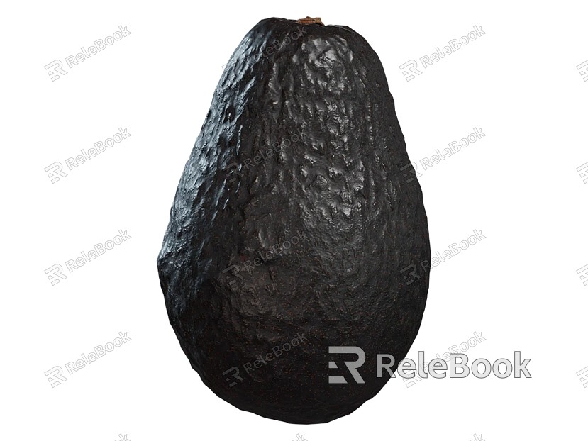 avocado avocado fruit avocado pear model