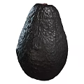 Ripe Black Avocado with Textured Dark Skin and Nutritious Fresh Flesh
