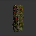Vibrant Flower Box With Pink Red Yellow Blooms And Trailing Green Leaves