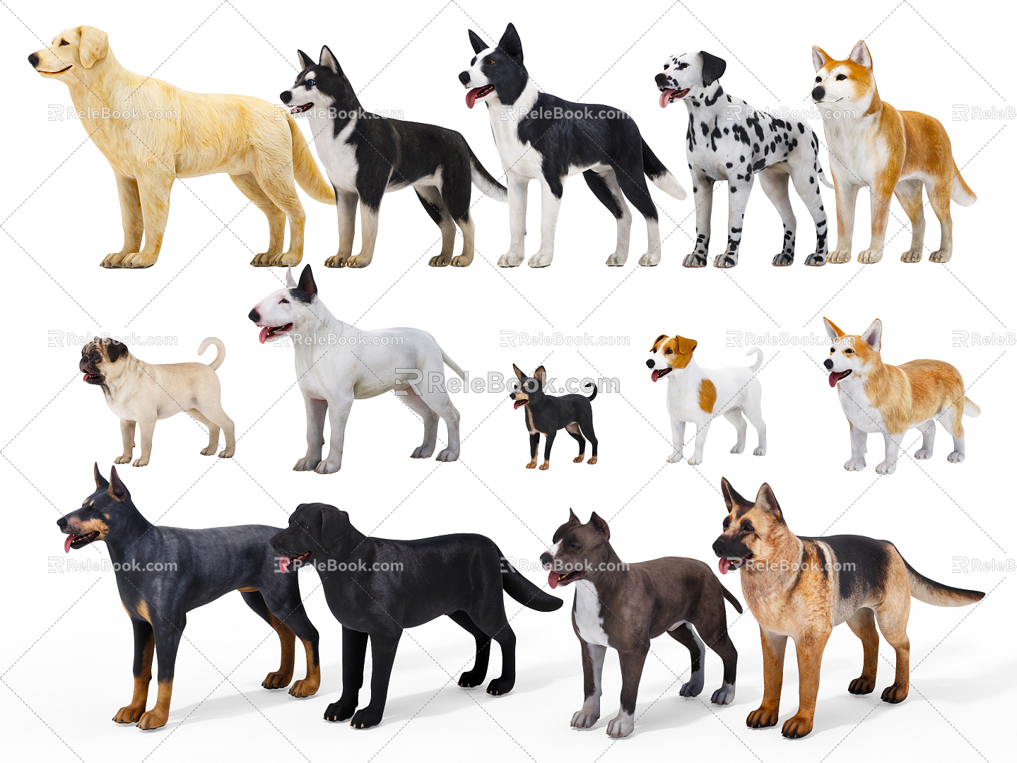 Modern Dog Pet Dog Combo 3d model