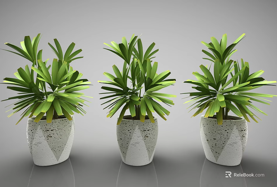 Three Potted Plants With Lush Green Leaves In White Geometric Pattern Pots 3d model 