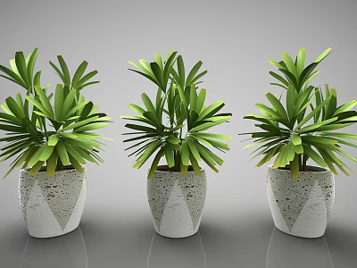 Three Potted Plants With Lush Green Leaves In White Geometric Pattern Pots 3d model