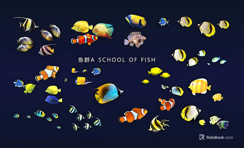 Colorful School of Fish Wall Decor with Vibrant Various Fish Patterns Design 3d model 