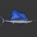 Blue Sailfish With Distinctive Dorsal Fin And Shiny Blue Body Reflection On Gray Surface