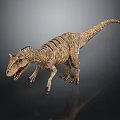 Realistic Dinosaur 3D Character Model With Open Mouth And Detailed Skin Texture