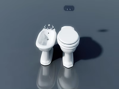 Modern Bathroom Hinged Door With White Toilet Bidet And Gray Walls 3d model
